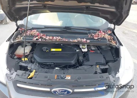 2015 Ford Escape Se z USA, uszkodzony, nr VIN 1FMCU0GX8FUB60595